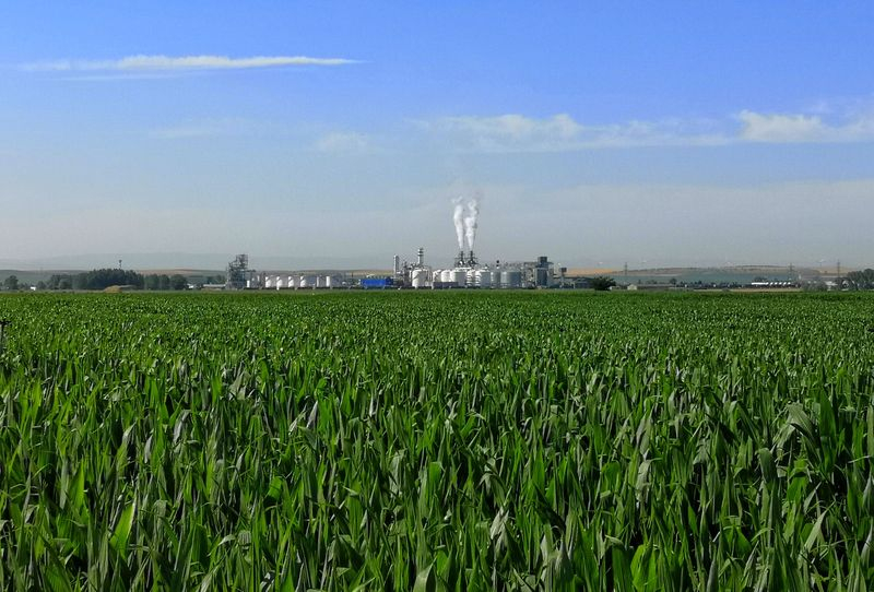 El campo del siglo XXI 