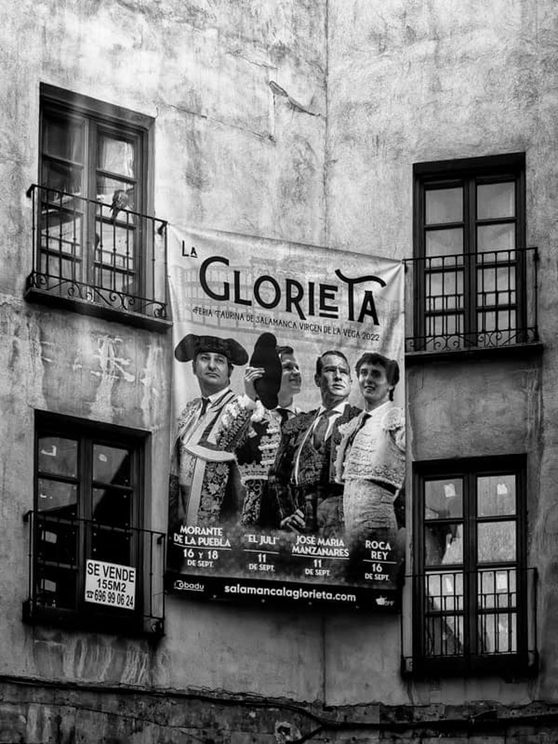 Buscadores de gloria