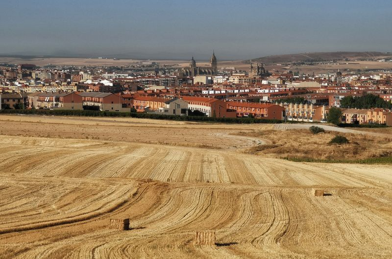 El campo que besa a la ciudad
