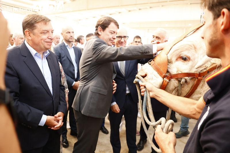 Entre corbatas y ganado, las curiosidades de la inauguración de Salamaq