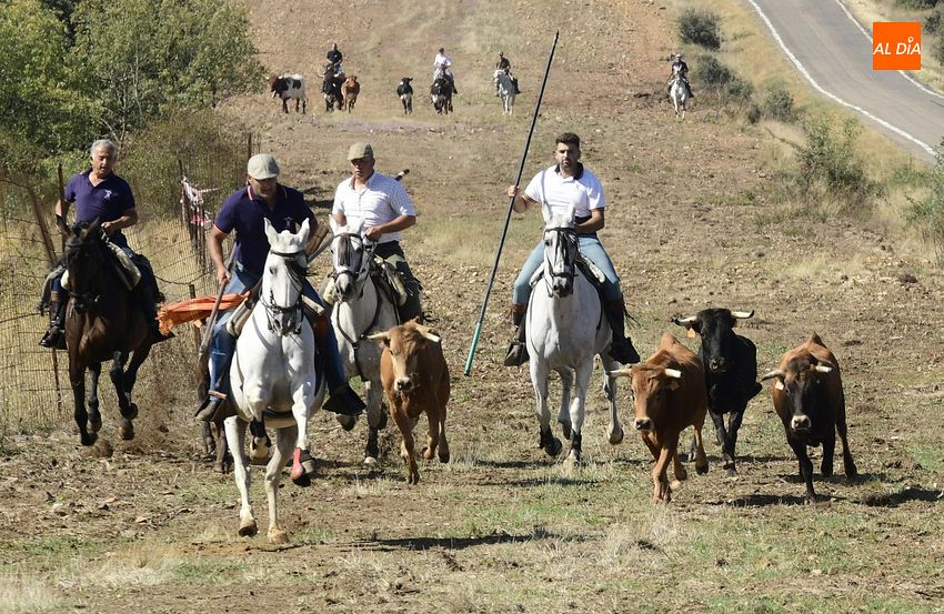 vaquillas aldehuela de yeltes