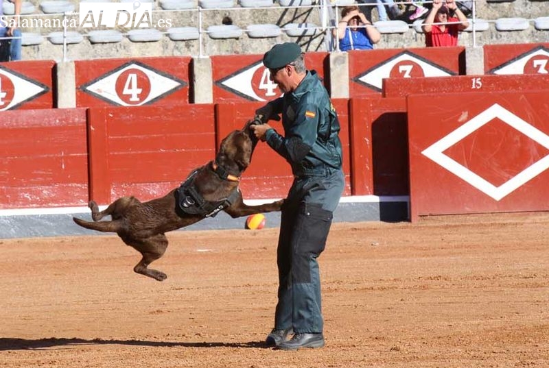 La Guardia Civil realizará en Salamanca una exhibición de rescates de desaparecidos con perros y drones