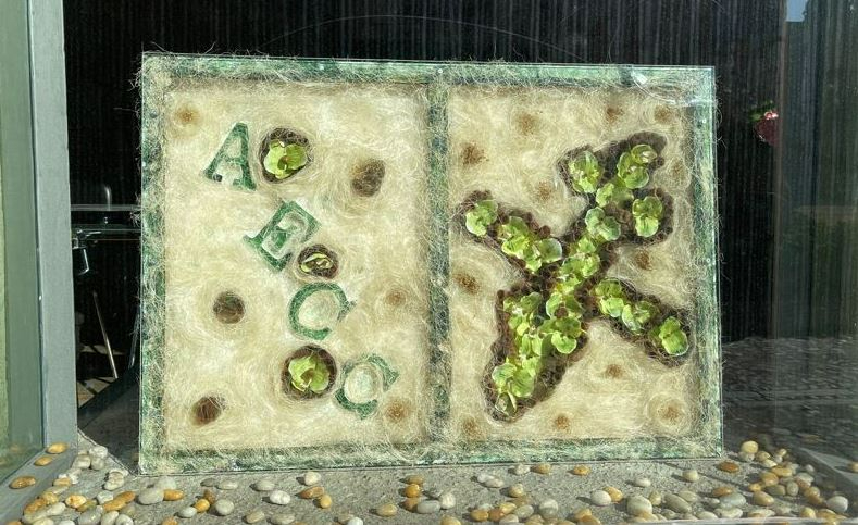 La AECC ofrecerá este otoño cursos gratuitos para ayudar a dejar de fumar