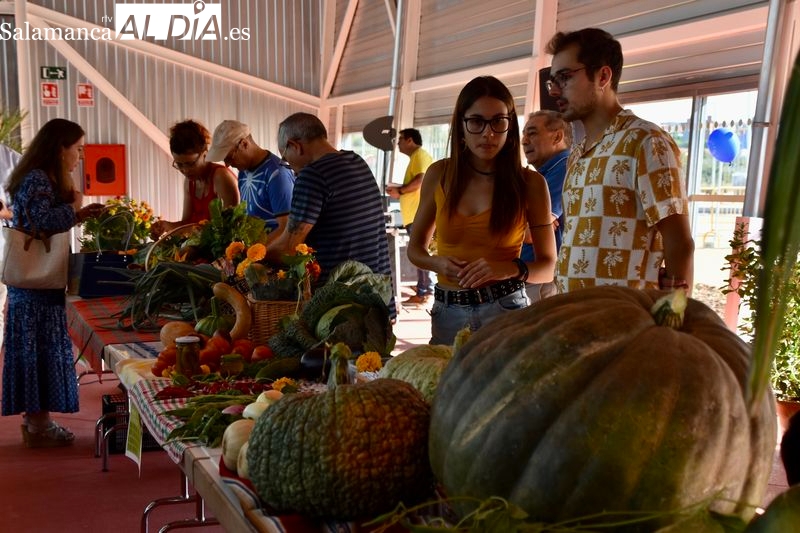 La gran Lonja de Salamanca abre sus puertas a los ciudadanos