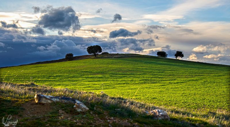 Estertores del estío