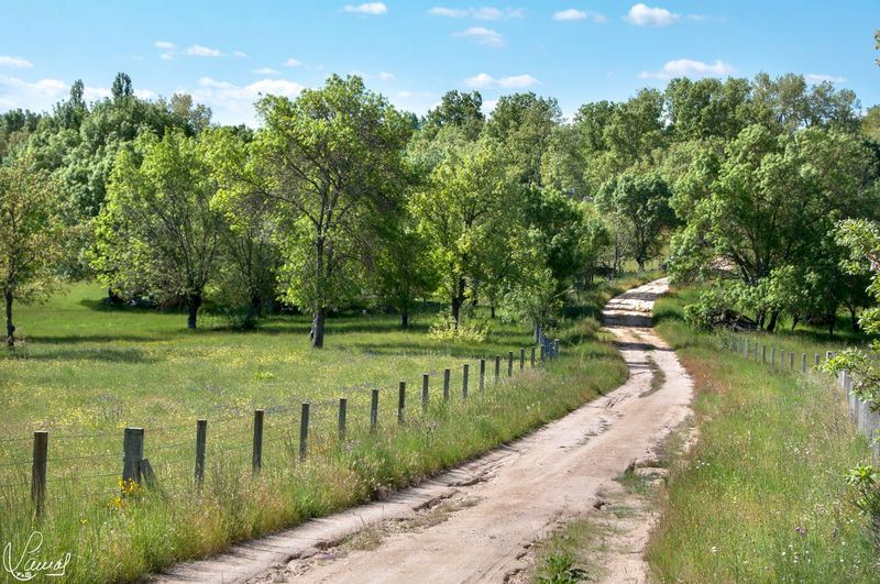 El camino se hace al andar