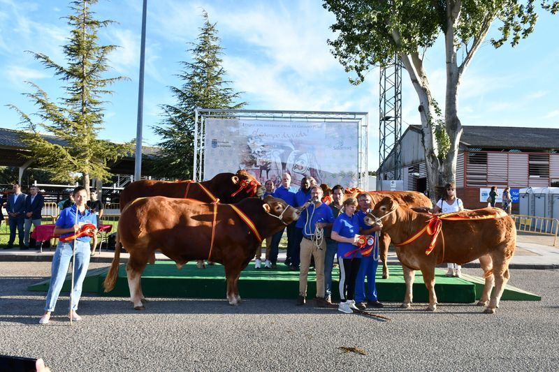 Premios para los campeones de Limusín, Charolés y Blonda