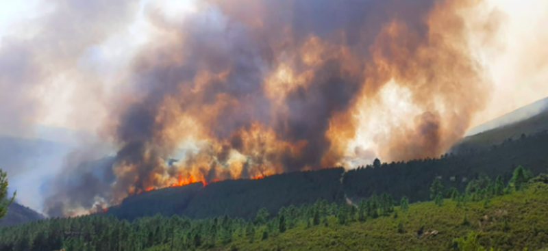 El PSOE denuncia que el consejero de Medio Ambiente discrimina a parte de los salmantinos afectados por los incendios