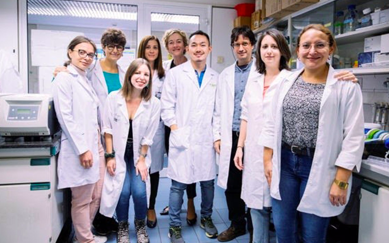 Identificada una proteína implicada en la progresión del cáncer de pulmón más frecuente