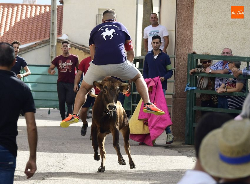 vaquillas aldehuela de yeltes