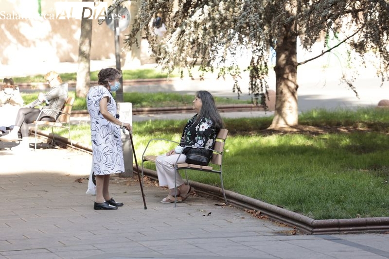 El Ayuntamiento instalará más de 300 nuevos bancos de madera en calles y plazas 
