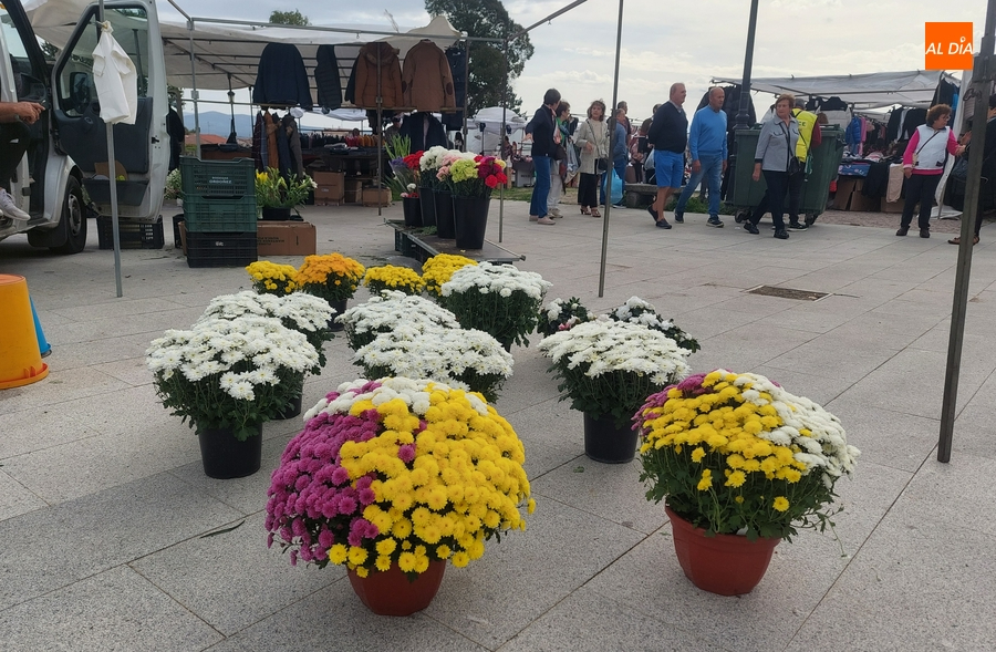 El Día de Todos los Santos da colorido extra al mercadillo sabatino