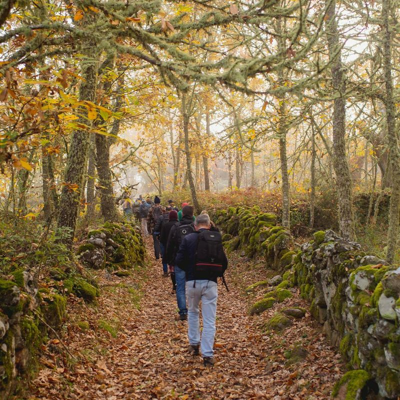 NATURCÔA, comprender y trasmitir lo que hay en la naturaleza de Sabugal