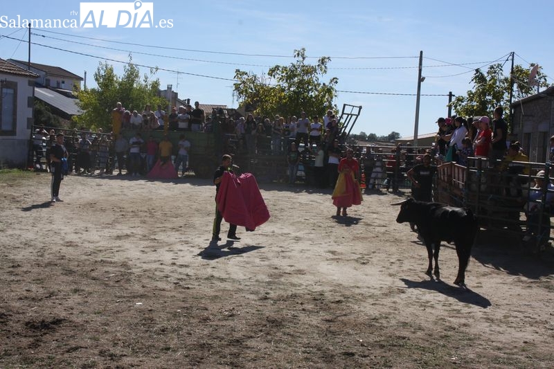 Una capea de vaquillas pone emoción a las fiestas de las Madrinas en Cabeza del Caballo