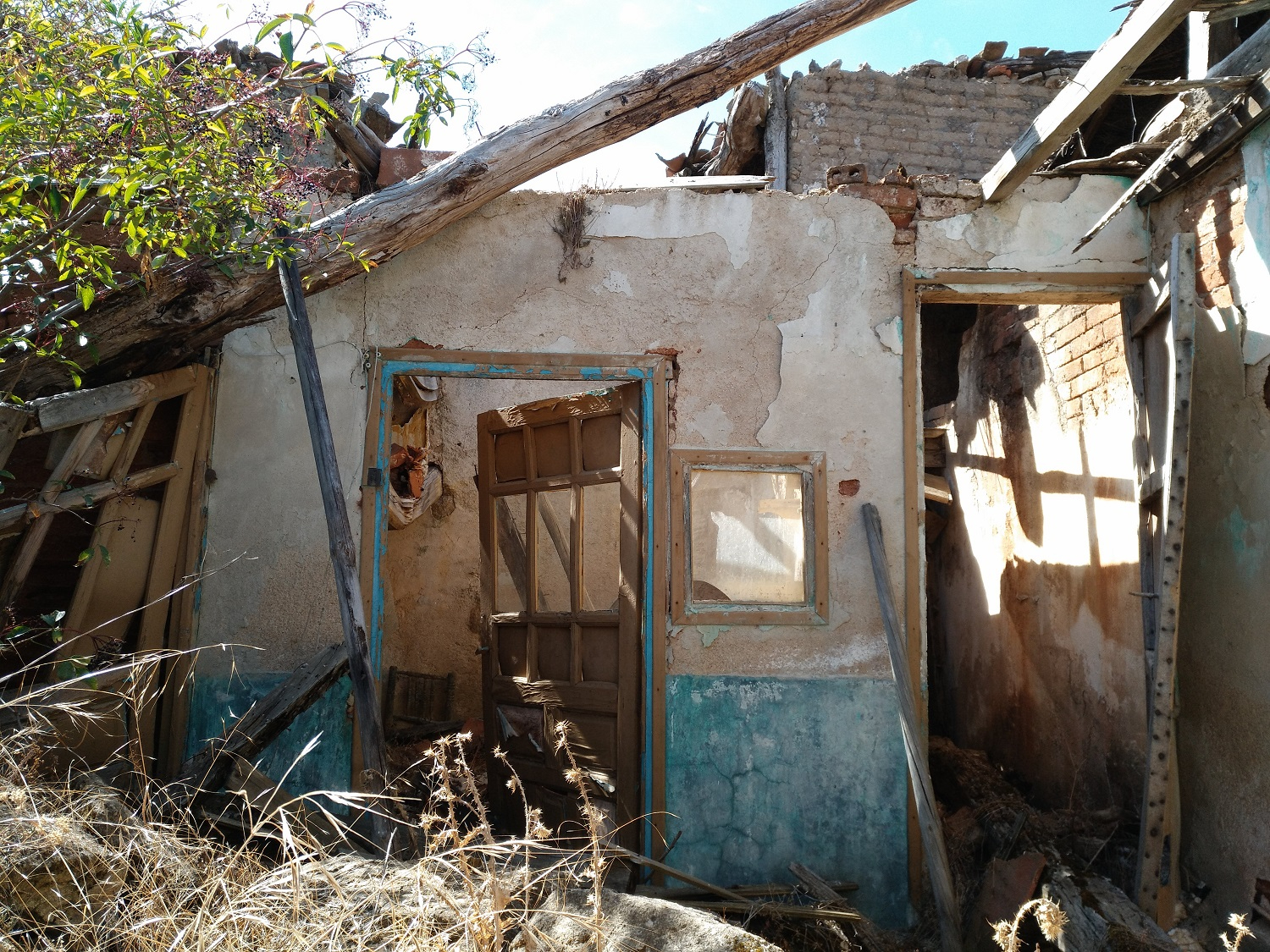 A perro flaco, todo son pulgas