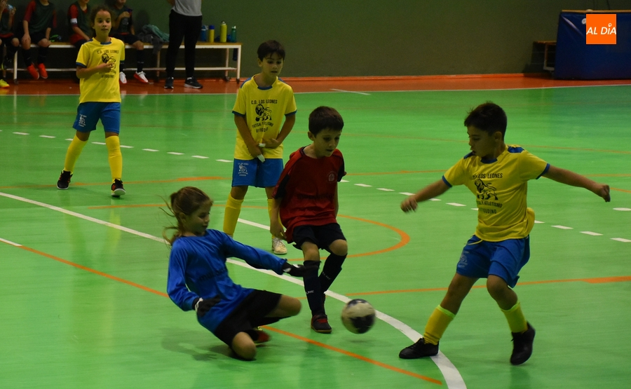 #M | 22-23 OCT | Se reactivan las competiciones provinciales de fútbol sala