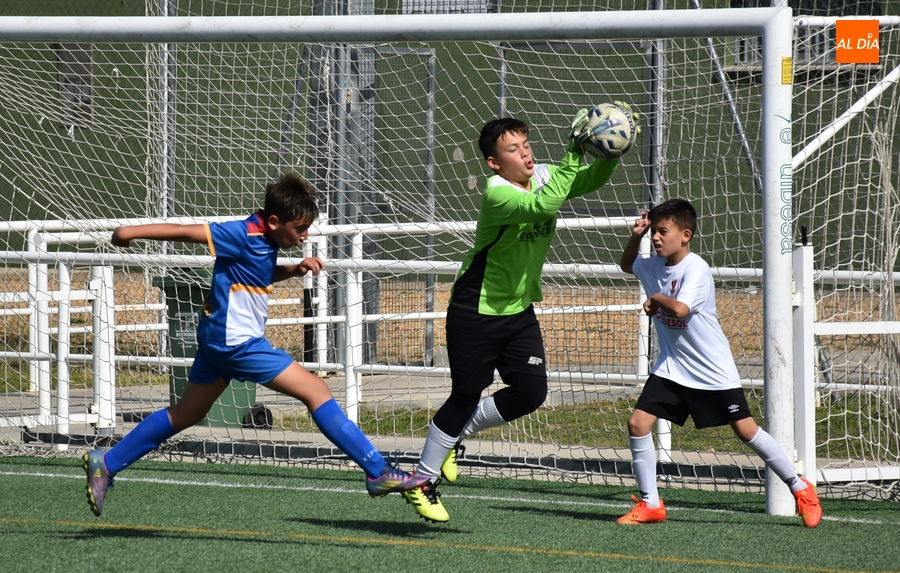 #M | 8-9 OCT | Plácida mañana para el Alevín A del Ciudad Rodrigo ante Doñinos