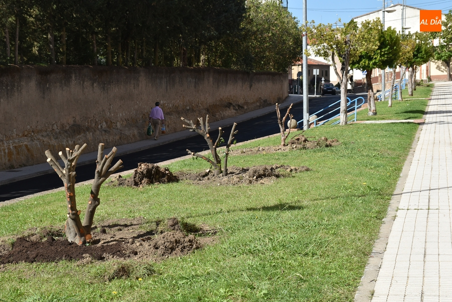 Recolocados en varios puntos los elementos verdes retirados de la Avenida de España y El Cruce