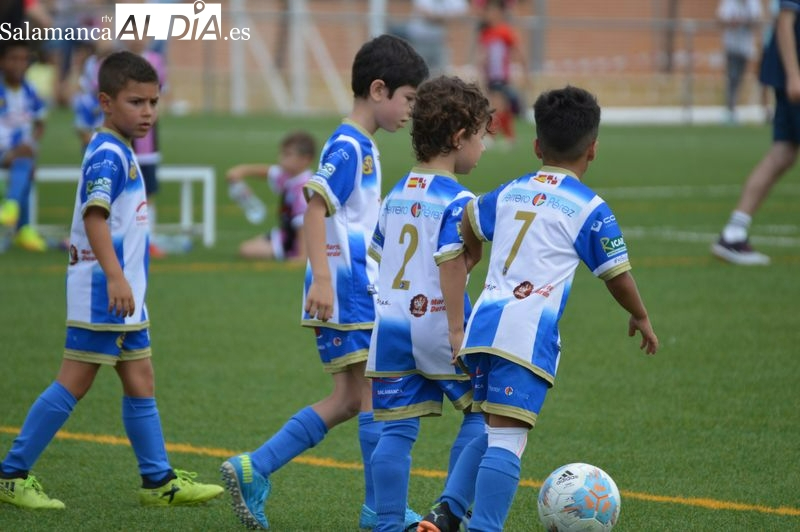 El Cabrerizos no dejará entrar al campo a los padres que insultaron tonto, subnormal y árbitro de mierda a un colegiado