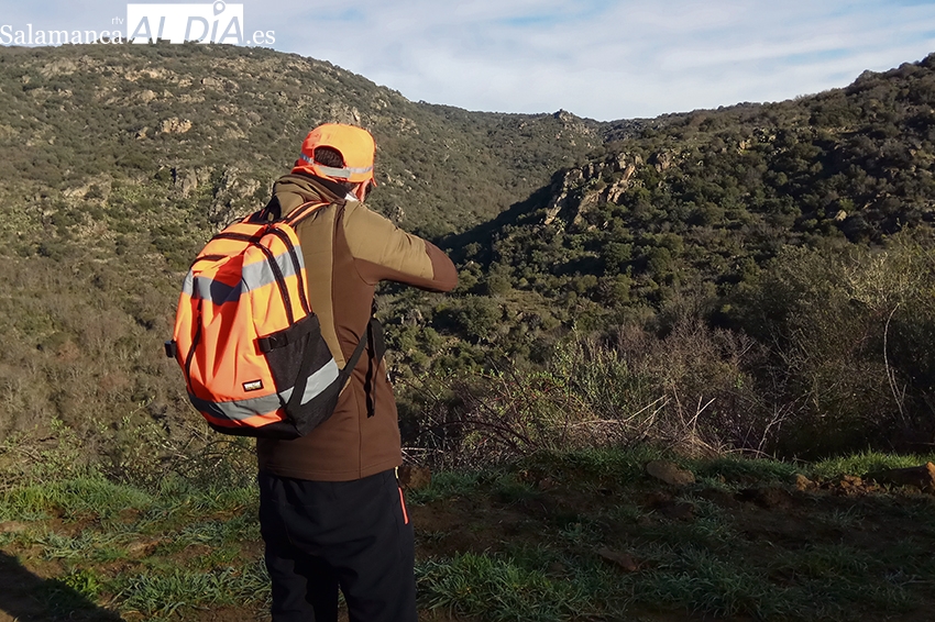 El jabalí sirve de prólogo ante la apertura de la caza menor el 23 de octubre