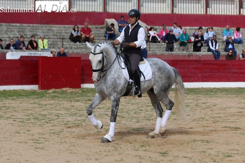 Bonita exhibición de doma en la clausura de la I Semana Internacional de la Carne en Vitigudino 