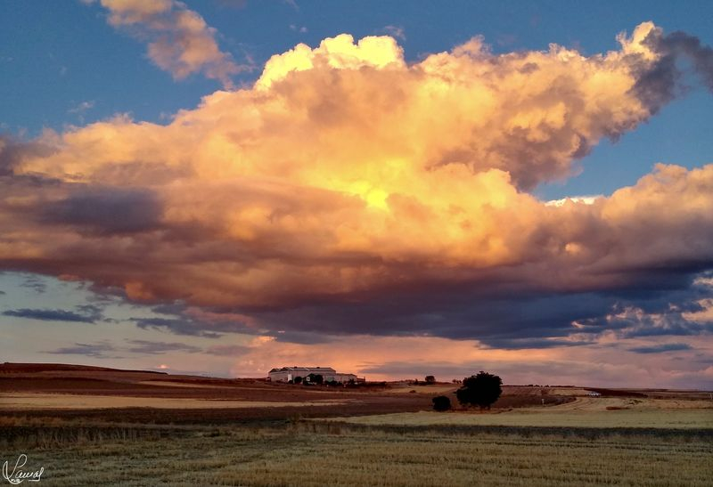 Castillos en el aire 