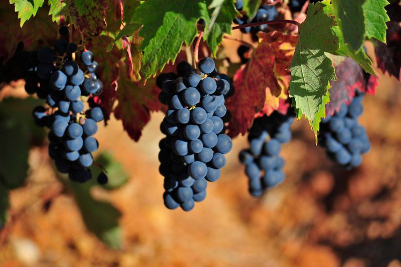 Esperas que merecen la pena