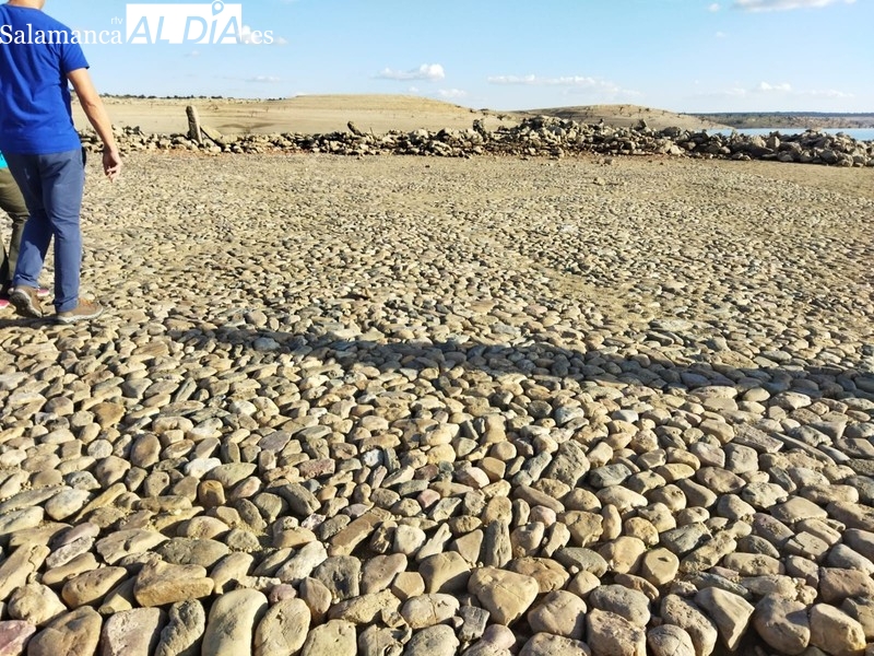 Almendra – Argusino