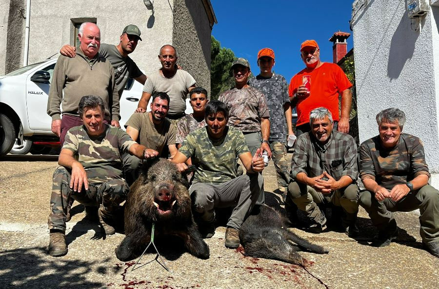 Abatido en Vegas de Domingo Rey un jabalí de 150 kilos