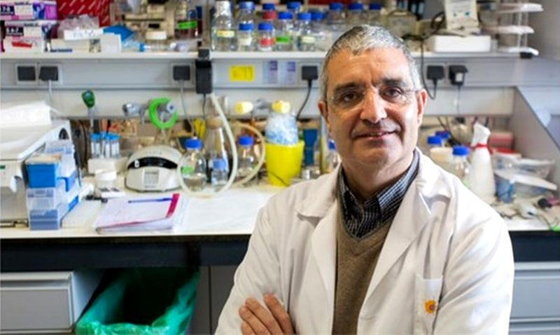 Investigadores salmantinos localizan una mutación genética clave en la aparición de linfomas y el cáncer de pulmón