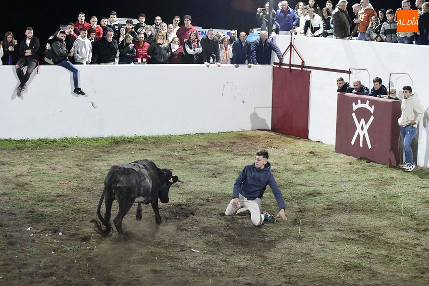 Vaquillas nocturnas para dar el pistoletazo de salida a La Galga de Alba