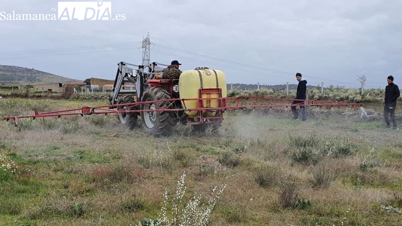 La AECT Duero-Douro organiza en Bañobárez un curso para el uso profesional de fitosanitarios