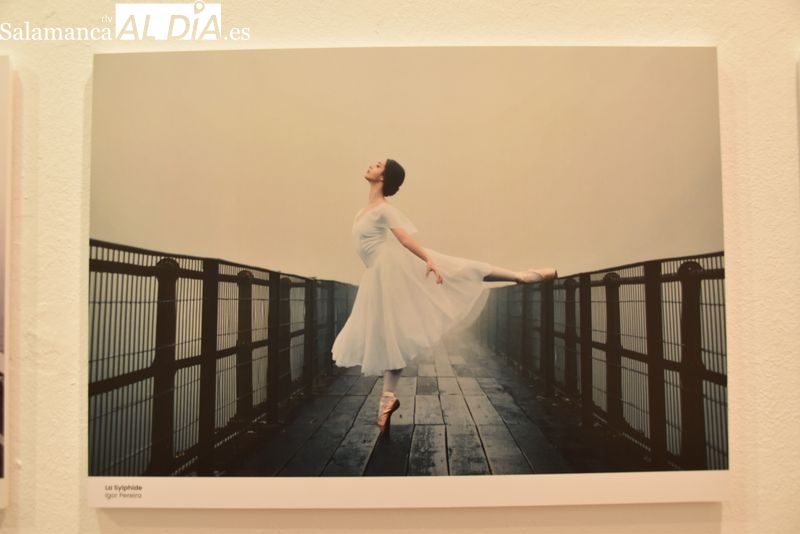 Otro motivo para visitar el Palacio de Maldonado