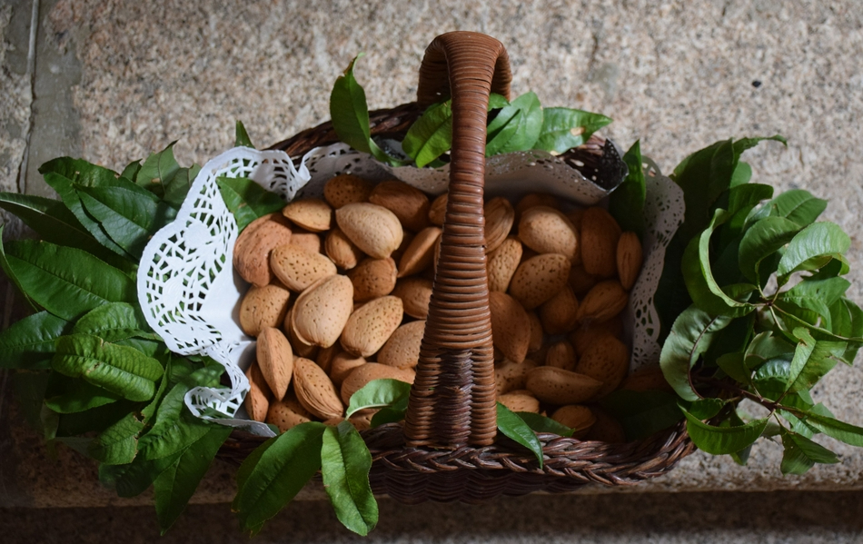 ‘Vida en la Raya’ convoca la 11ª Fiesta de la Almendra de Puerto Seguro