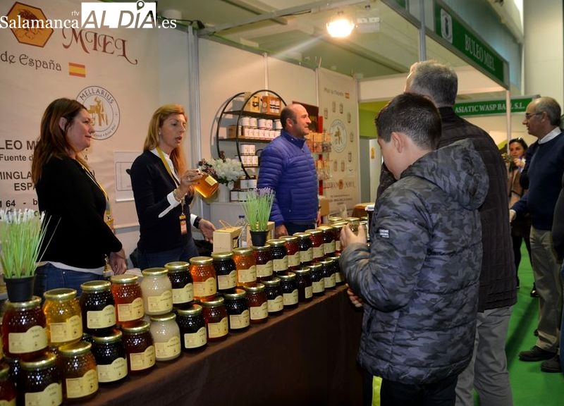 La Feria de la Miel de Aldeatejada se celebrará este sábado