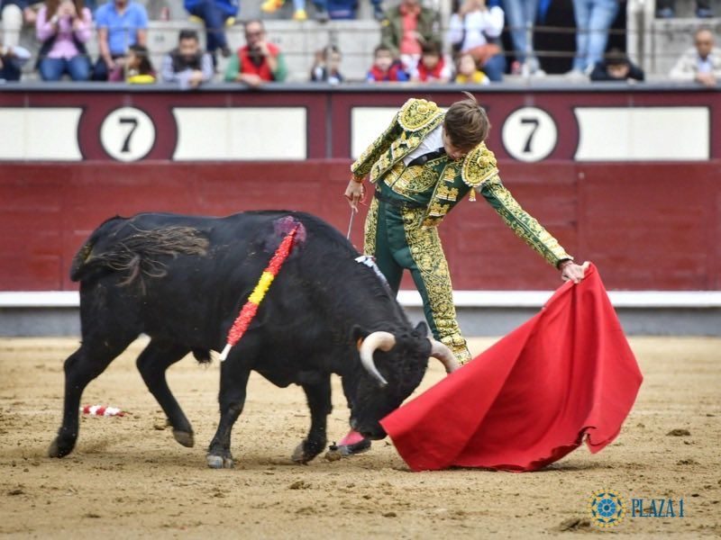 Extraordinaria novillada de Lorenzo Rodríguez Espioja en Las Ventas