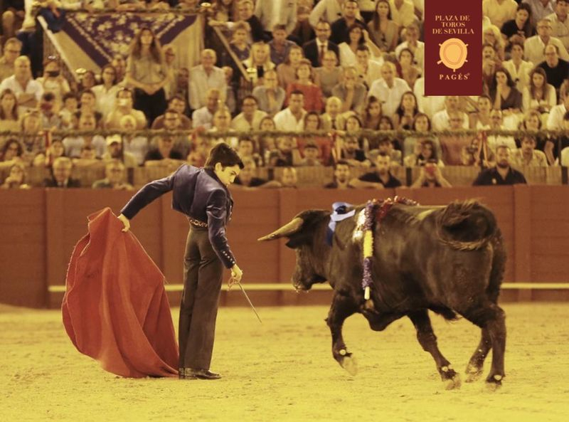 Suspendida la esperada corrida de toros de esta tarde en Arenas de San Pedro