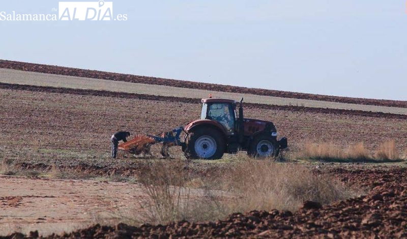Anticipados más de 107,7 millones de euros de la PAC 2022 para agricultores y ganaderos de Salamanca