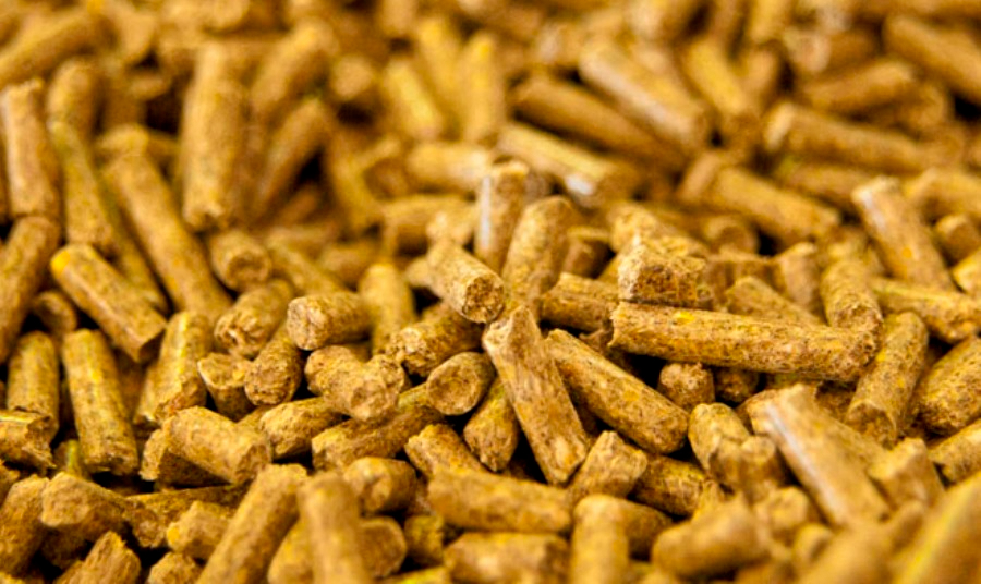 El IVA de los pellets, al 5%: ¿hasta cuándo se mantiene esta medida? 