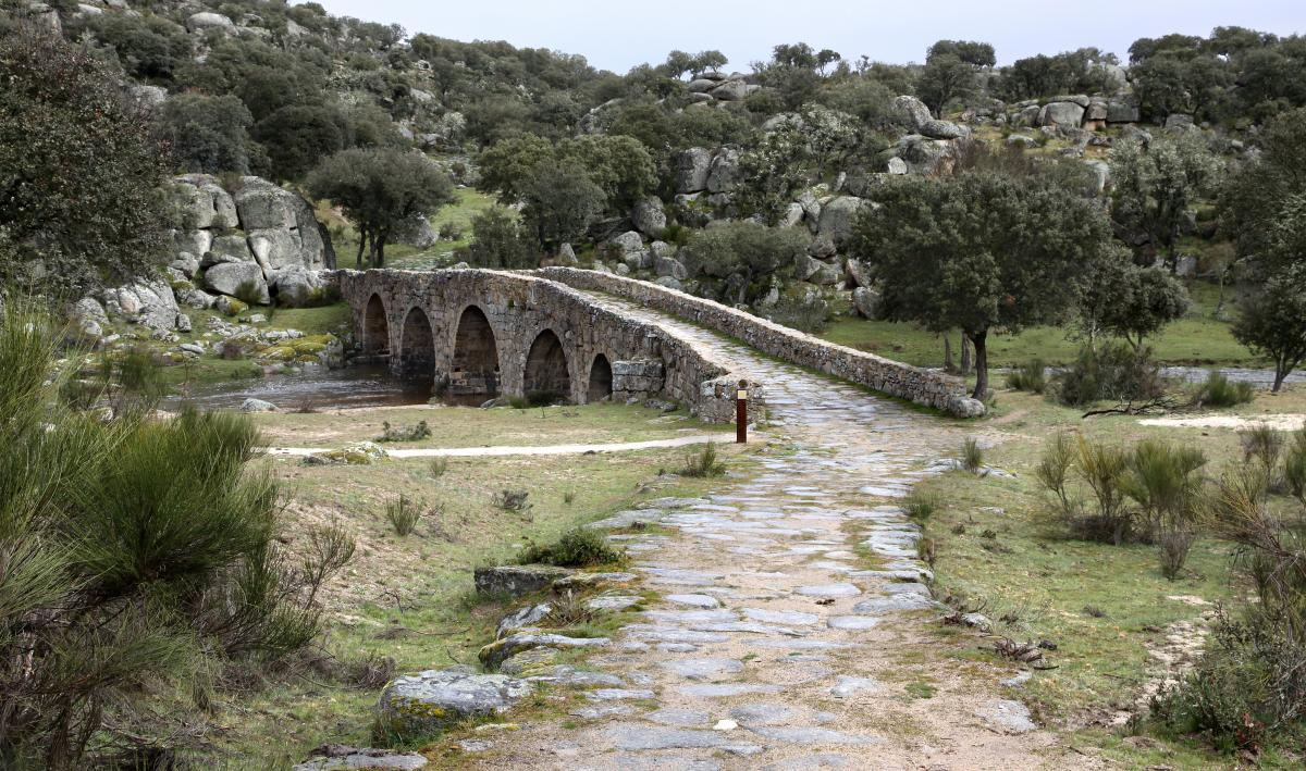 Rutas para descubrir el entorno natural de Ledesma que discurren por antiguas vías pecuarias