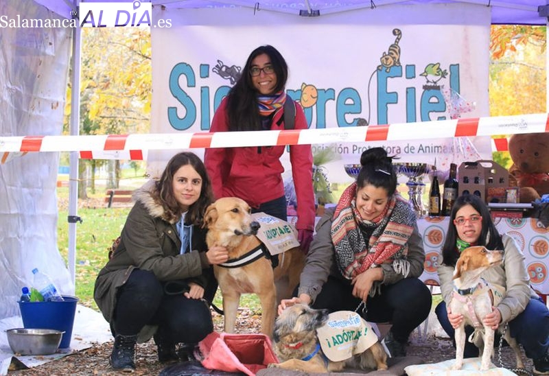 Estamos pasando por nuestro peor momento después de 11 años