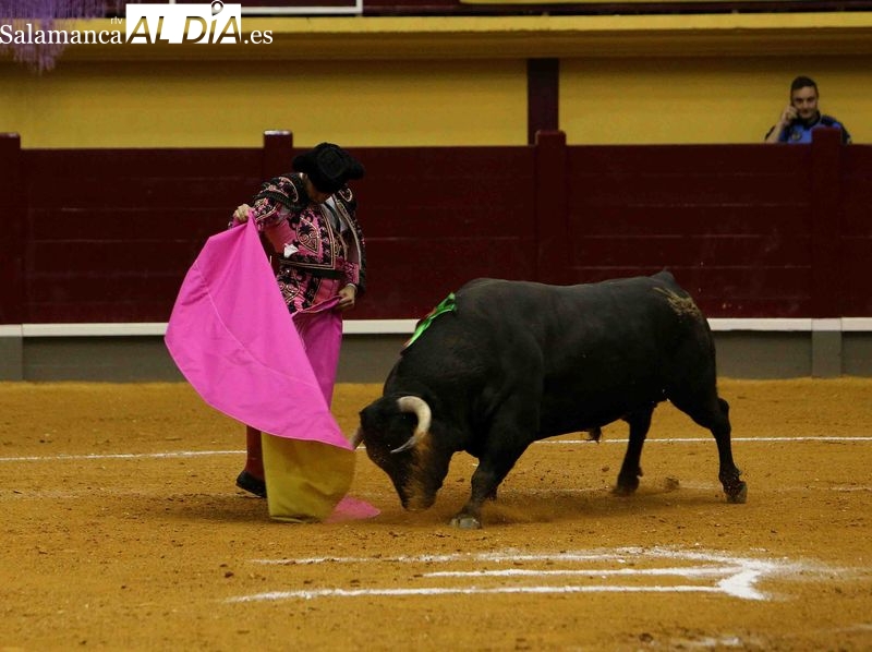 Así vio Ricardo Tejedor la Corrida Extraordinaria Centenarios Teresianos