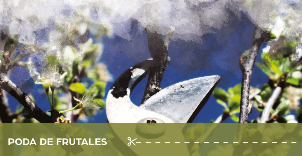 Organizado un taller práctico de entrada libre sobre la poda de frutales
