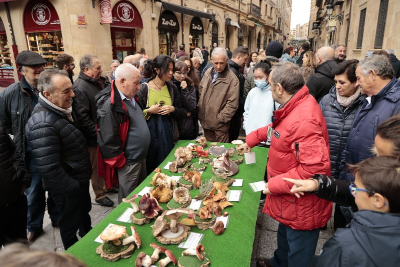 La micología llega al centro de Salamanca: así ha sido la tradicional exposición de setas