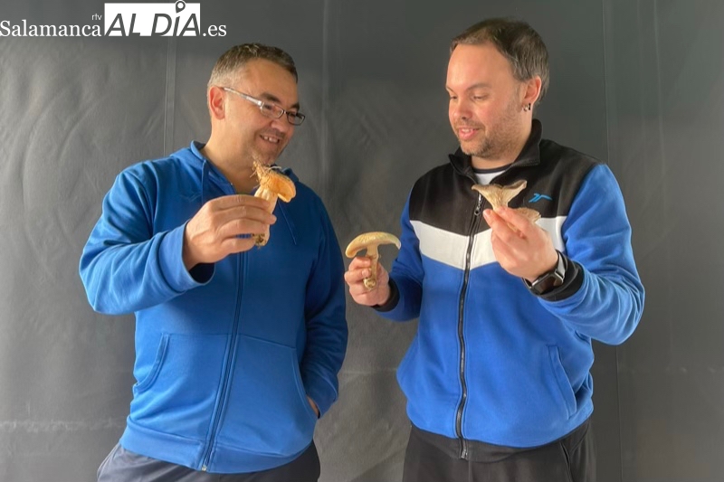 Hasta en un basurero o en un parque puedes encontrar setas comestibles, pero es imprescindible recolectarlas con cesta