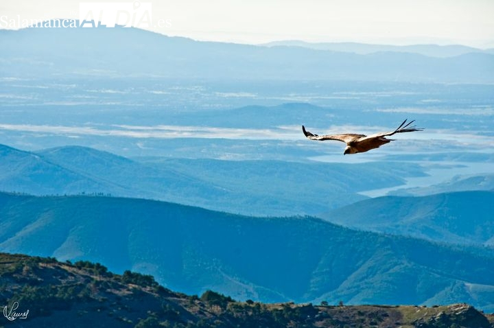 Disfruta la Sierra de Francia a vista de pájaro