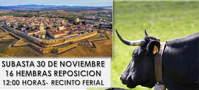 La Feria de San Andrés incluirá una subasta de 16 cabezas de ganado de raza avileña