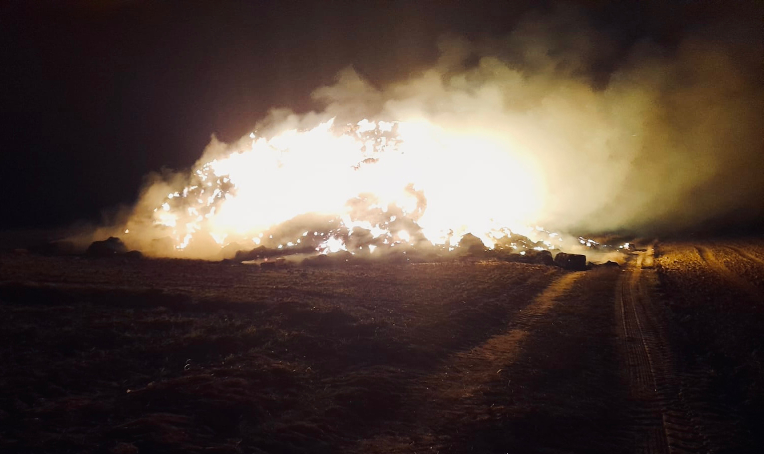 Hemos tomado medidas legales para localizar al pirómano. Nos han quedado 50 de 1.200 pacas de paja, es un palo