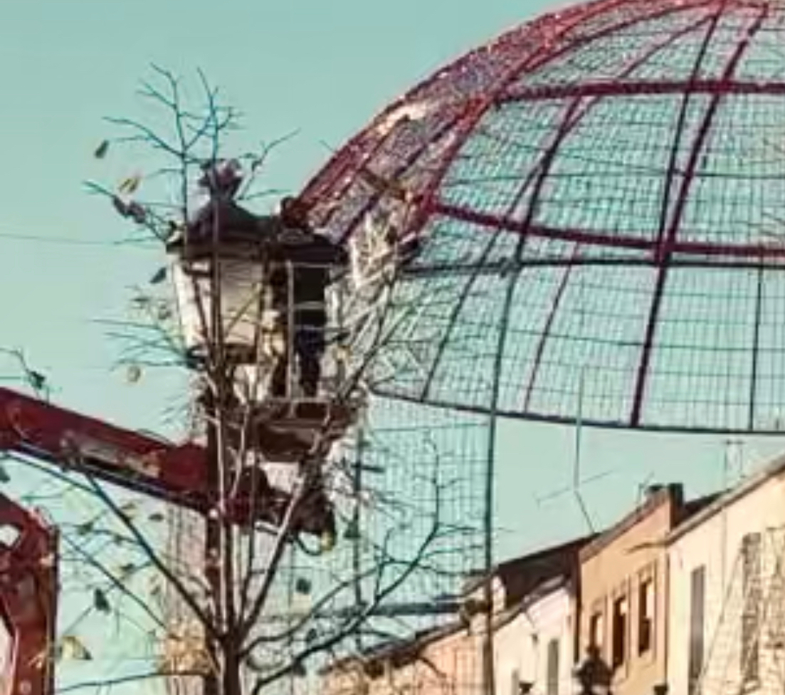 VIDEO: Llamativo rescate de los Bomberos a un gato atrapado en la gran bola de Navidad de Peñaranda