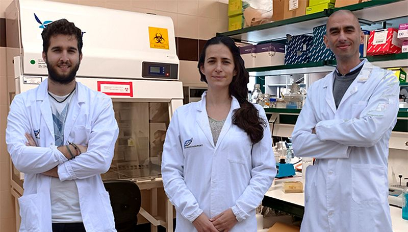 Microbiólogos salmantinos aportan nuevos datos que permitirán avanzar en el uso de determinadas bacterias